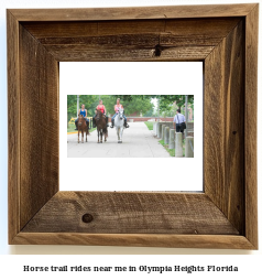 horse trail rides near me in Olympia Heights, Florida